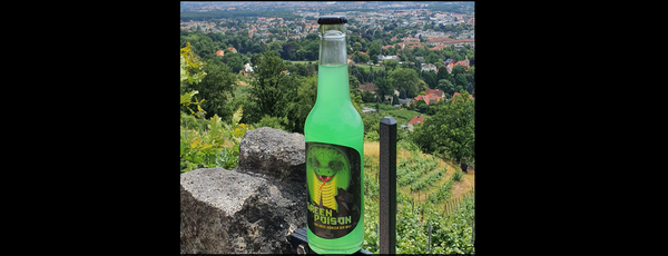 Green Poison Isonizer blickt auf Dresden